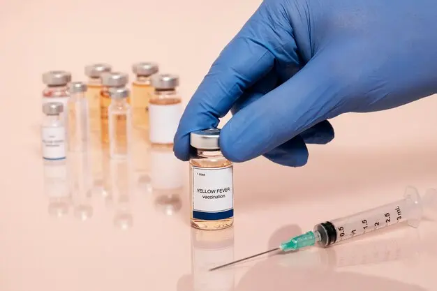 Yellow Fever Certificate Explained Do You Need One for Your Trip